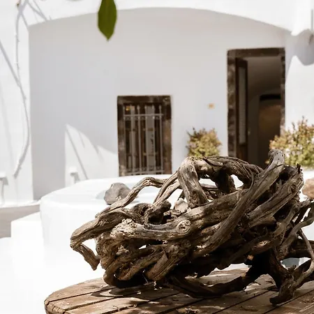 Apartment On An Island & -